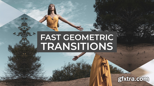 MotionArray Fast Geometric Transitions 738051