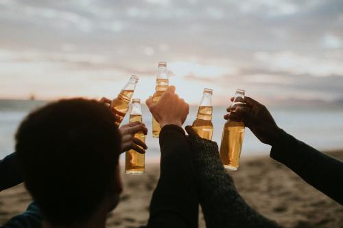 Happy friends toasting at the beach - 1079949