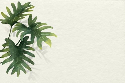 Philodendron radiatum leaf pattern on beige background vector - 1218120