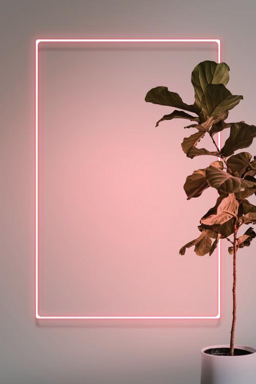Pink neon lights frame with a fiddle leaf fig plant mockup design - 1223336
