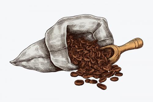 Hand drawn coffee beans in a bag - 1208984