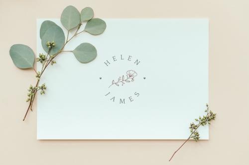 Eucalyptus populus leaves with a white card mockup - 1209269