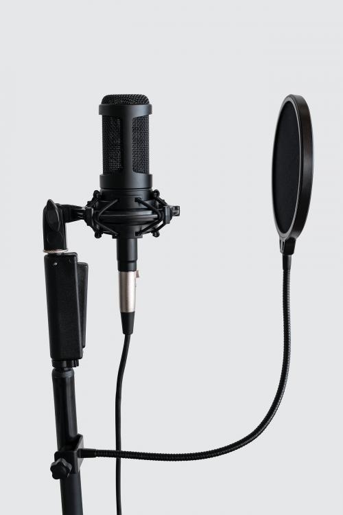 Professional condenser microphone with a pop filter in a studio - 1210051
