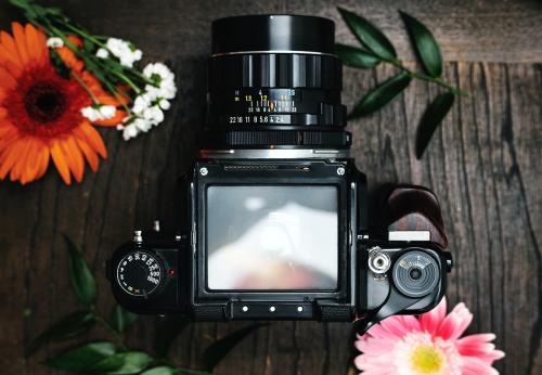Analog camera screen mockup surrounded by flowers - 1210182