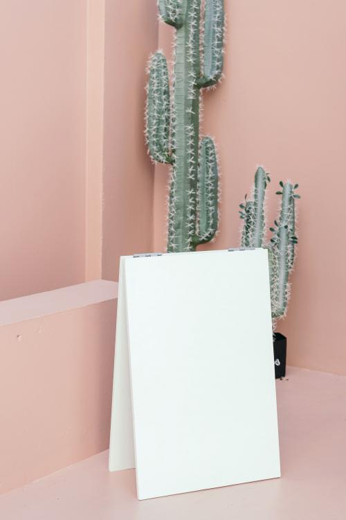 White poster on a pastel pink floor by cacti - 1210204