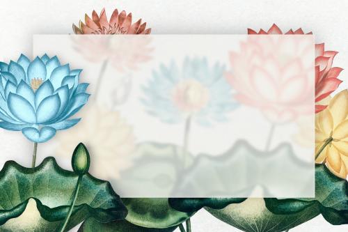 Blank colorful water lilies frame illustration - 1016526