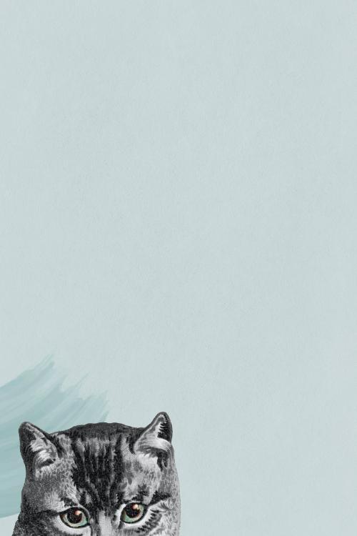 Gray cat on blue background illustration - 2093662