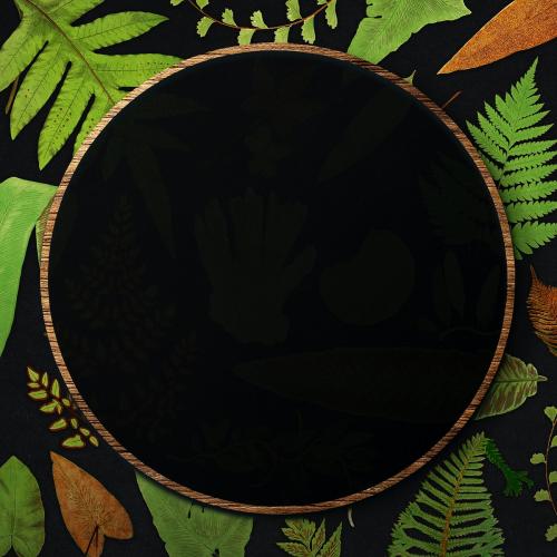 Frame of fern leaves background - 2251167