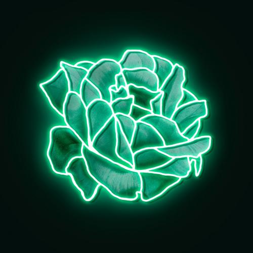 Neon green rose mockup - 2254124