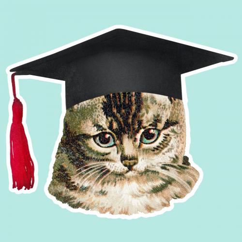 Cat in a graduation cap sticker illustration - 1234849
