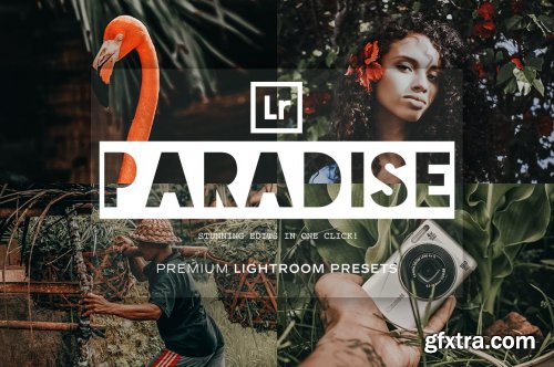 CreativeMarket - Paradise - Lightroom Presets 5215514