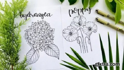 Learn to Draw Flowers from Scratch: Hydrangea + Poppy