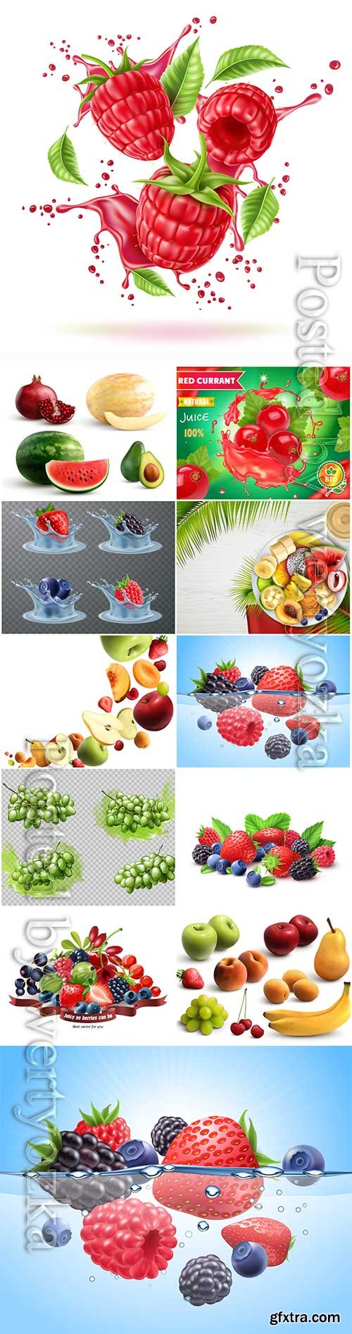 Vector fresh berries and fruits