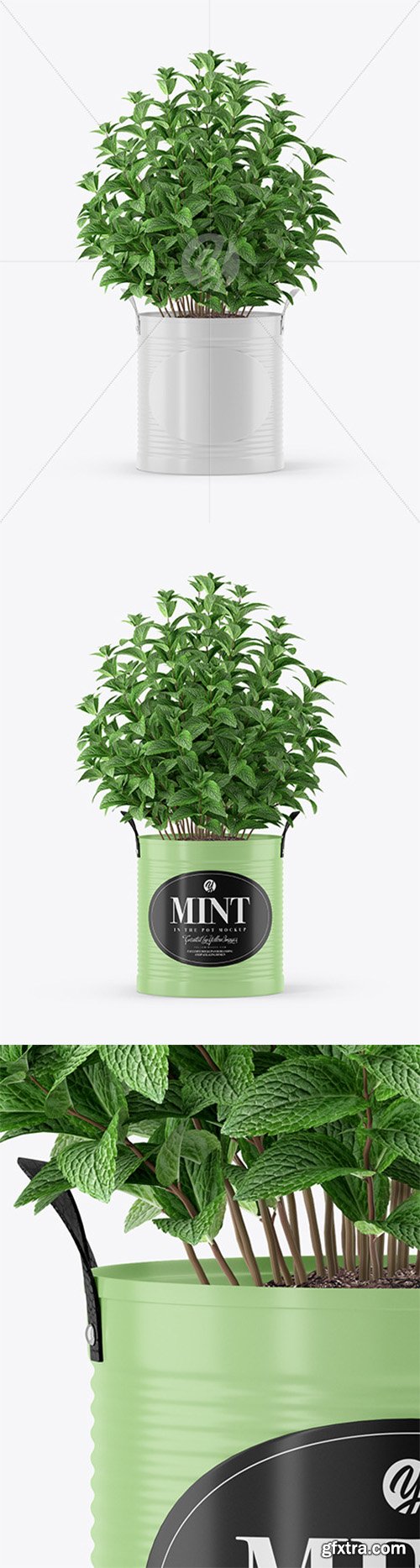 Mint in The Pot Mockup 66222