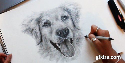 How to Draw Realistic Pet Portraits: Dogs