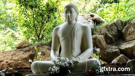 Vipassana Meditation Course: Buddhas Meditation
