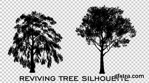 Videohive Tree Silhouette Reviving 19460964