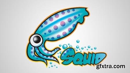 Squid Proxy Server On Linux: Anonymous browsing & filtering
