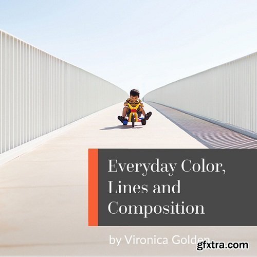 Everyday Color, Lines and Composition with Vironica Golden