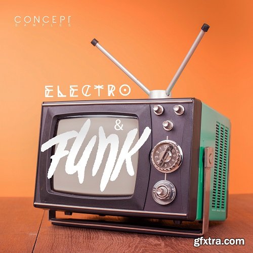 Concept Samples Electro And Funk WAV-FLARE