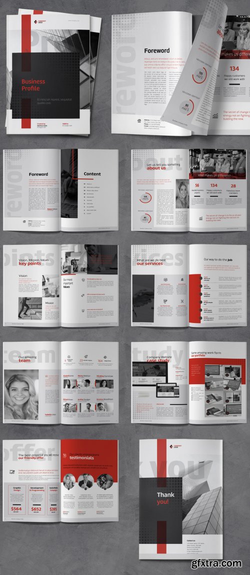 Company Profile with Red and Gray Accents 388817807