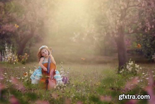 Photographers Unleashed Composite - Sweet Summer Cello