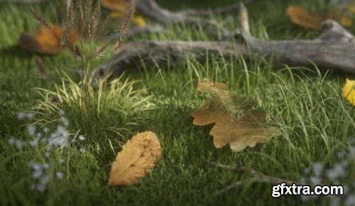 Gumroad – Leaves Shaders Pack #1 for C4D