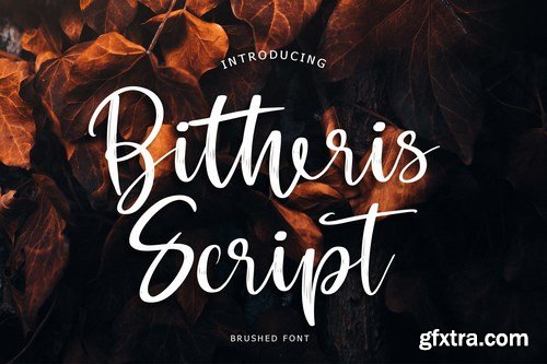 Bitheris Script Brush Font