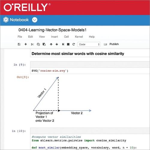 Oreilly - Learning Vector Space Models with SpaCy