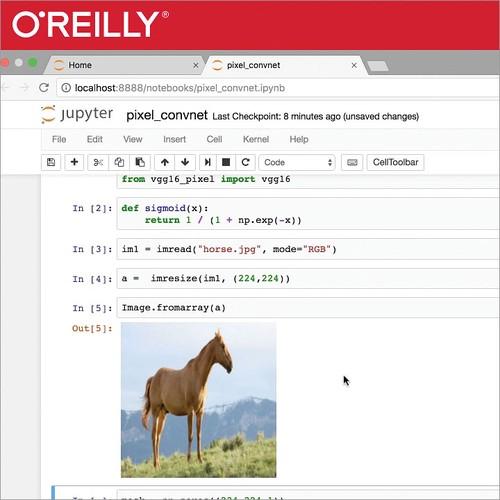 Oreilly - Introduction to Computer Vision with TensorFlow