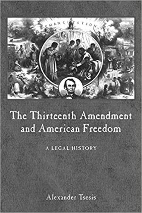 The Thirteenth Amendment and American Freedom: A Legal History (Constitutional Amendments)