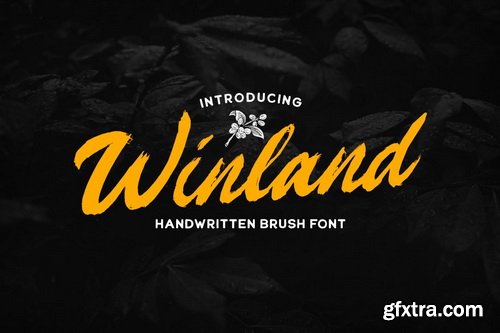 CreativeMarket - Winland - Brush Font - 5447059