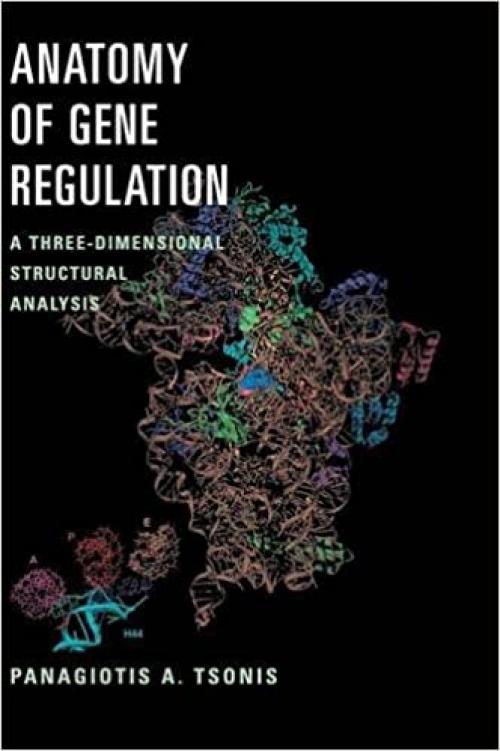 Anatomy of Gene Regulation: A Three-Dimensional Structural Analysis
