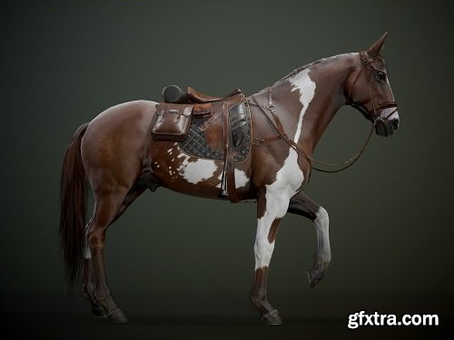 Ready Horse V2 3D Model