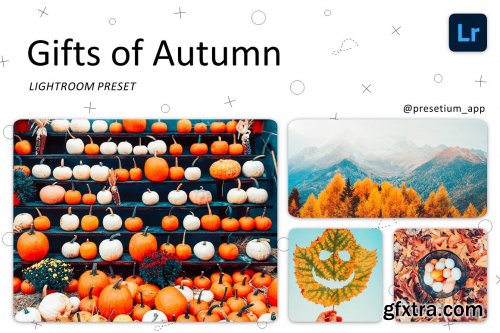 CreativeMarket - Gifts of Autumn - Lightroom Presets 5227452