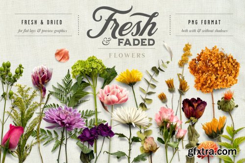 CreativeMarket - Fresh & Dried Flower Flat Lay 5350737