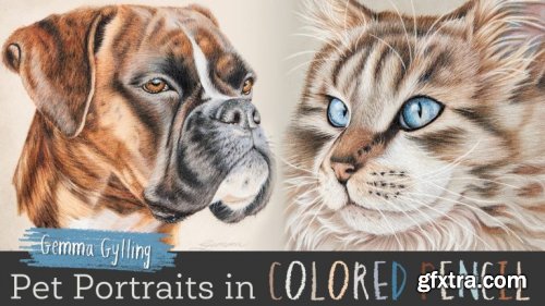 Pet Portraits in Colored Pencil