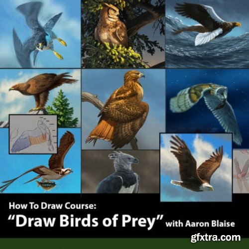 How to Draw Birds of Prey with Aaron Blaise