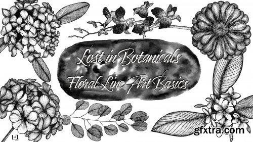 Lost in Botanicals: Floral Line Art Basics