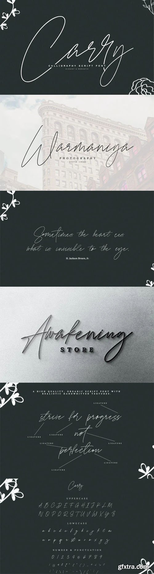 Carry - Calligraphy Script Font