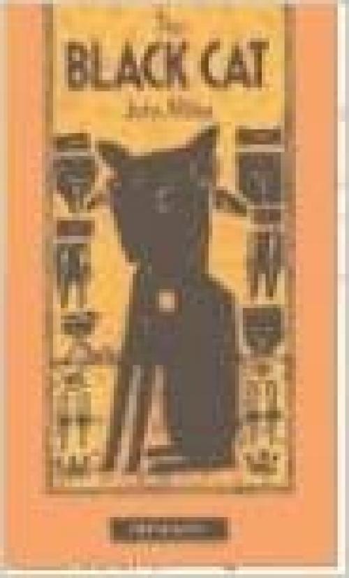 Black Cat: Heinemann Guided Readers
