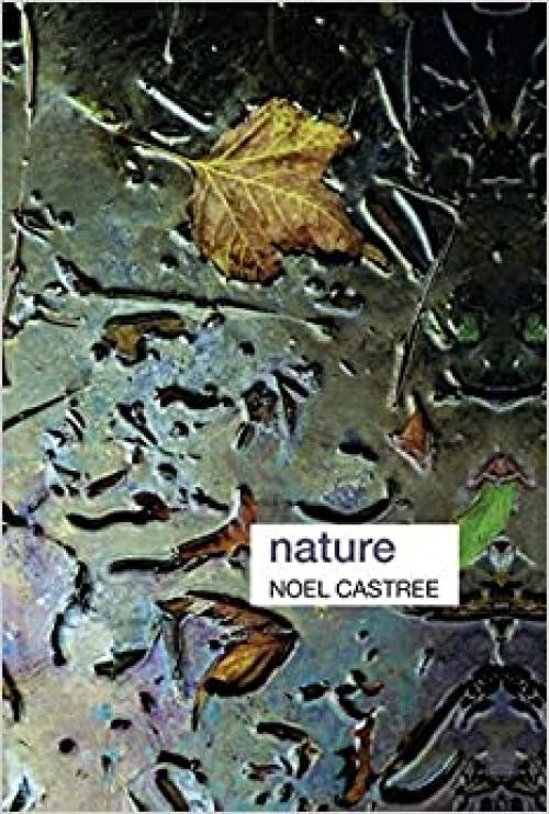 Nature (Key Ideas in Geography)