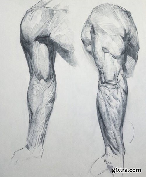 Watts Atelier - Anatomy Intensives - Arms & Legs Complete