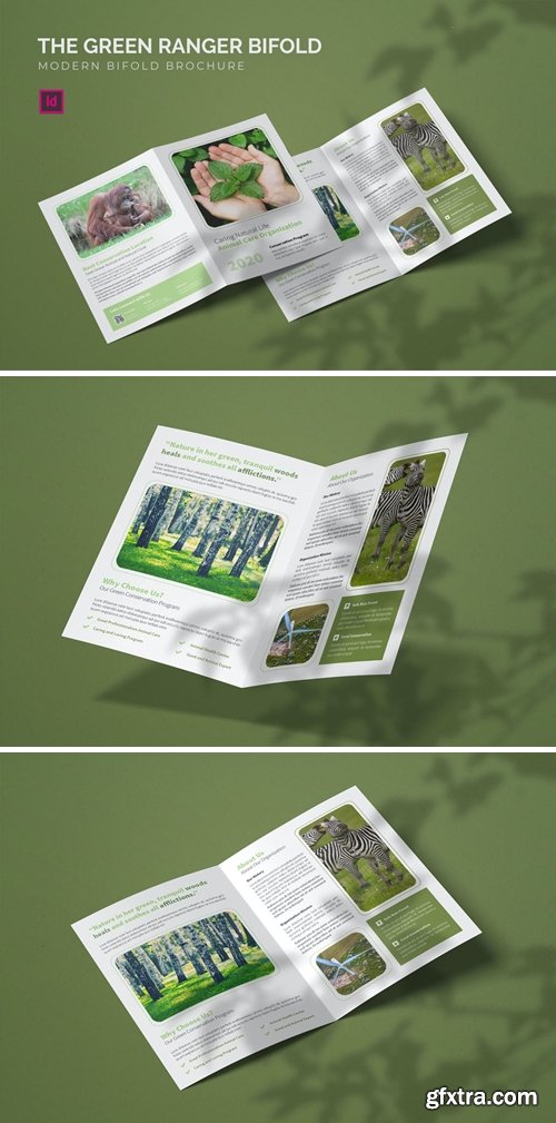 Green Ranger - Bifold Brochure