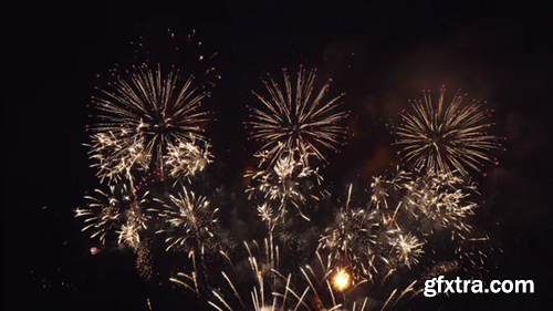 Videohive Firework Celebration 29129334