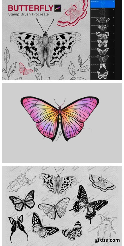 Butterfly Procreate Stamps Brush 7175257
