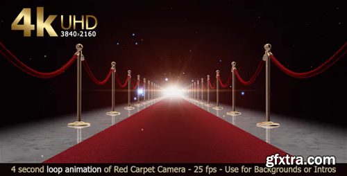 Videohive Red Carpet Loop 17664986