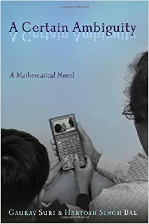 A Certain Ambiguity: A Mathematical Novel