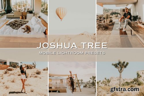 CreativeMarket - 5 Joshua Tree Lightroom Presets 5701728