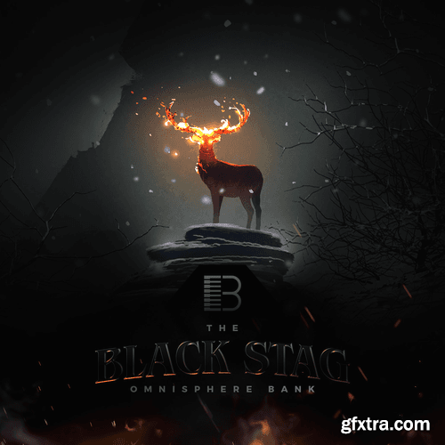 Brandon Chapa Black Stag for Omnisphere